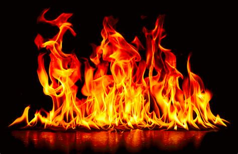 mis.feu|feu meaning.